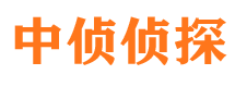 金湖调查公司